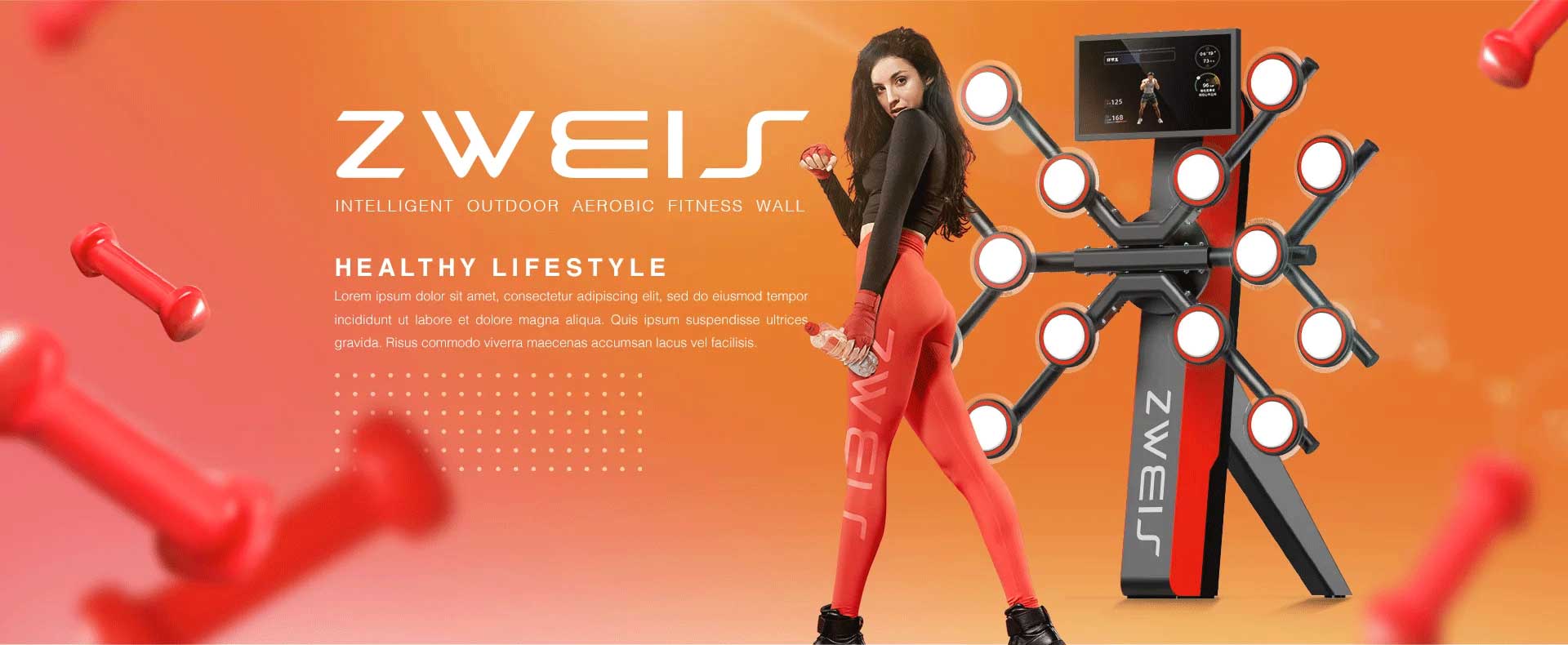 ZWEIS Cardio Fitness Wall 